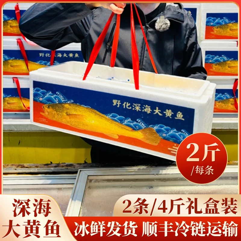 宁德深海大黄鱼，2斤规格，一箱2条4斤装冰鲜发货，顺丰包邮产地直发