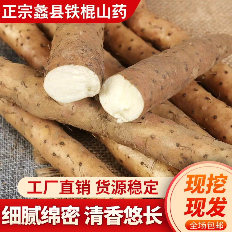 【产地直发】蠡县正宗铁棍山药新鲜山药软糯香甜原产直供 长40-50cm