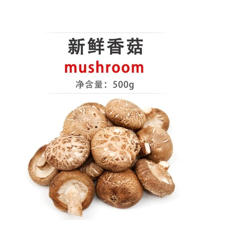 香菇 约500g