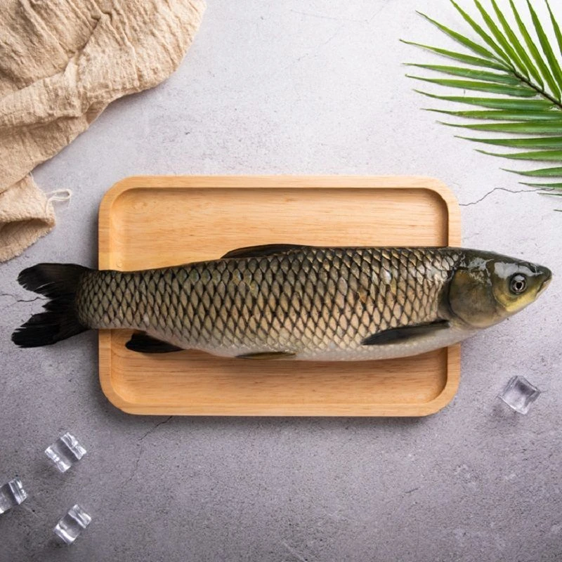 草鱼1kg 条(默认活鱼,现杀处理需备注)