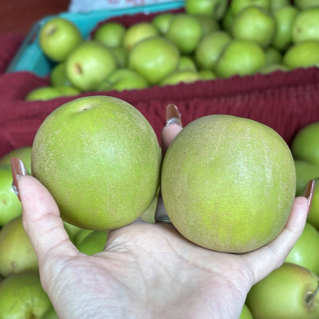 【娅娅精选】 云南特产西双版纳果园现摘苹果枣雀斑苹果枣 顺丰包邮