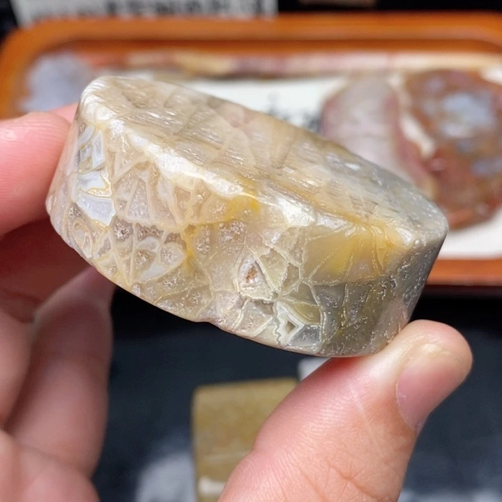 硅化珊瑚(珊瑚玉)手镯足铂镶嵌