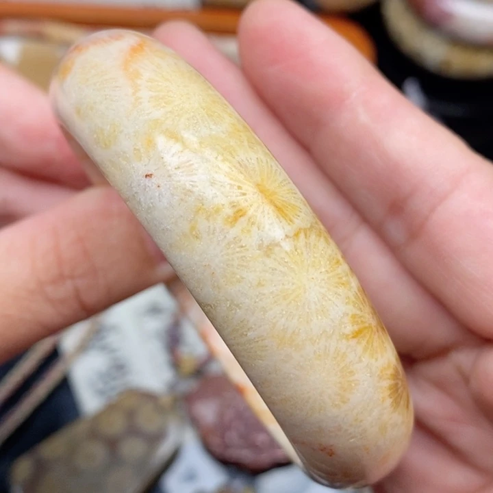 硅化珊瑚(珊瑚玉)手镯足铂镶嵌58.5