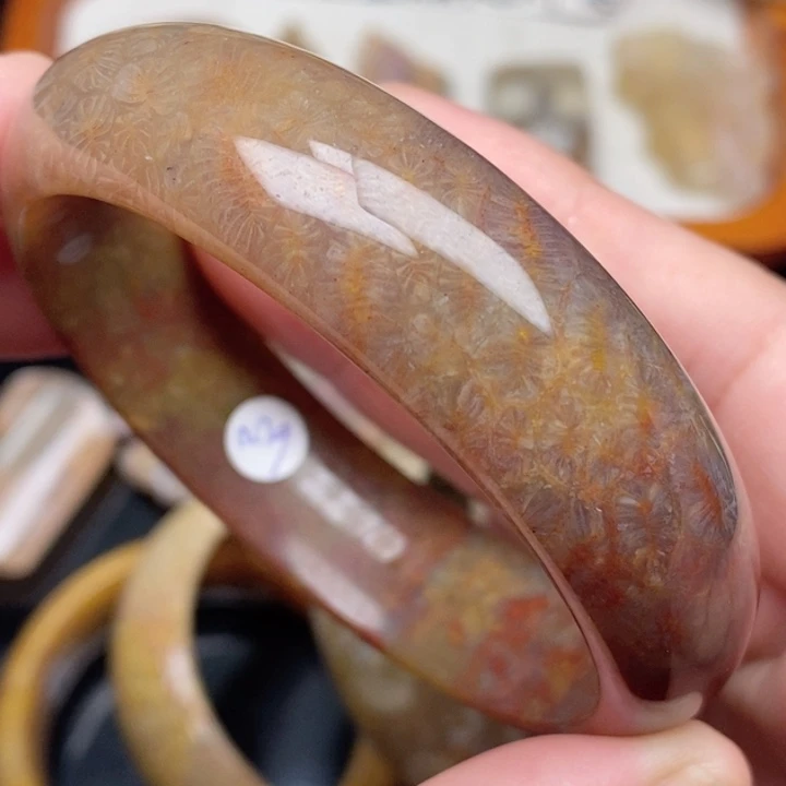 硅化珊瑚（珊瑚玉）手镯未镶嵌56