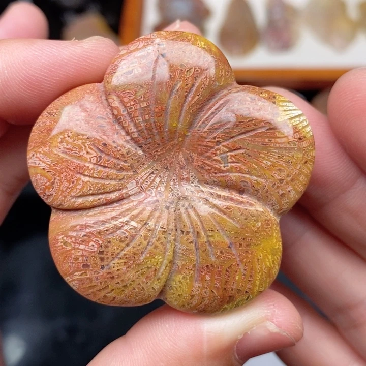 硅化珊瑚（珊瑚玉）手镯未镶嵌