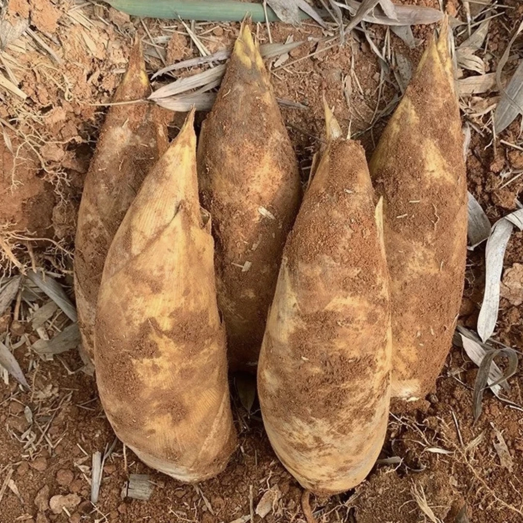 贵州大山货=楠=竹=冬=sun 色泽均匀无涩味微甜 1000g