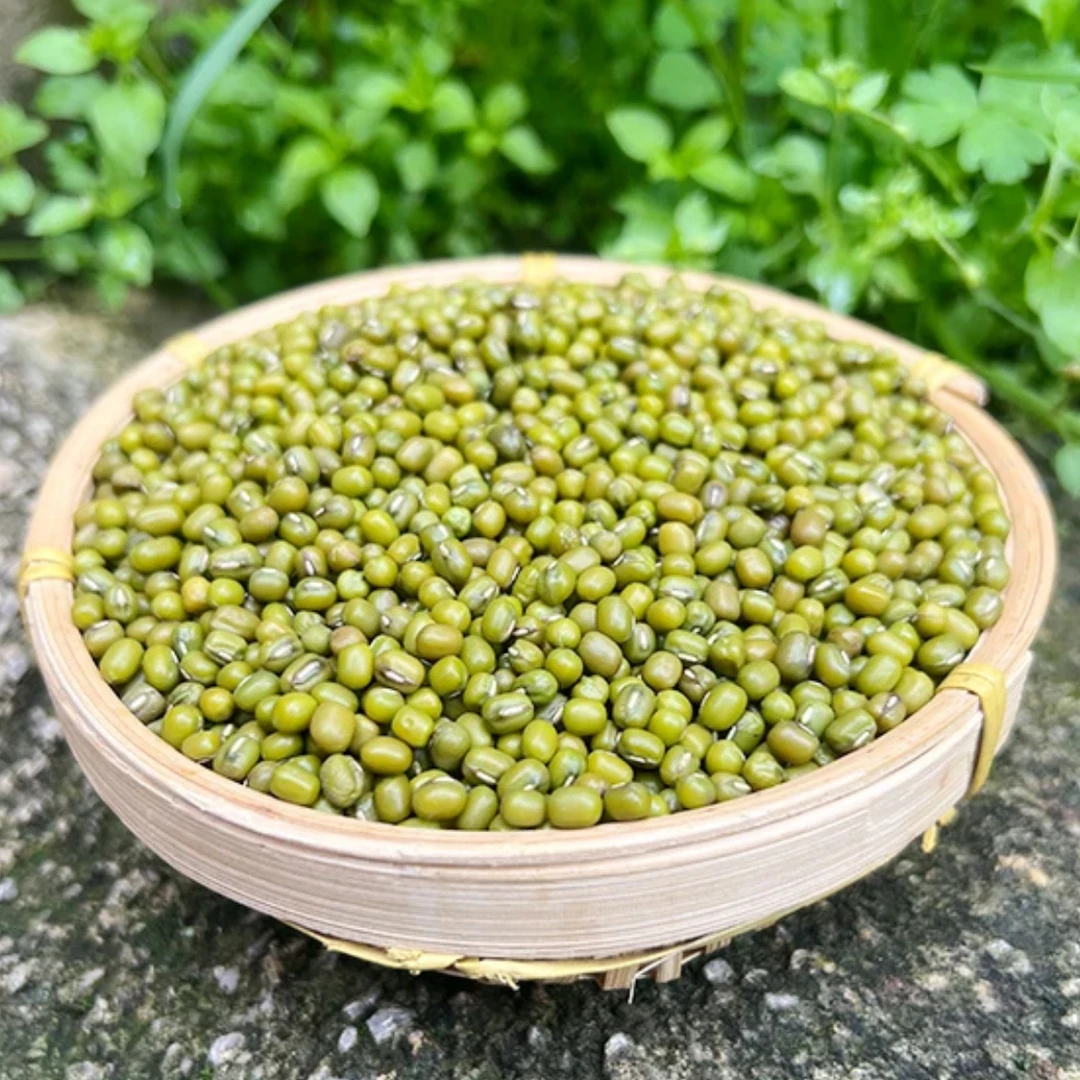 贵州大山幺妹=绿=荳 贵州本地老品种 高山种植 500g起