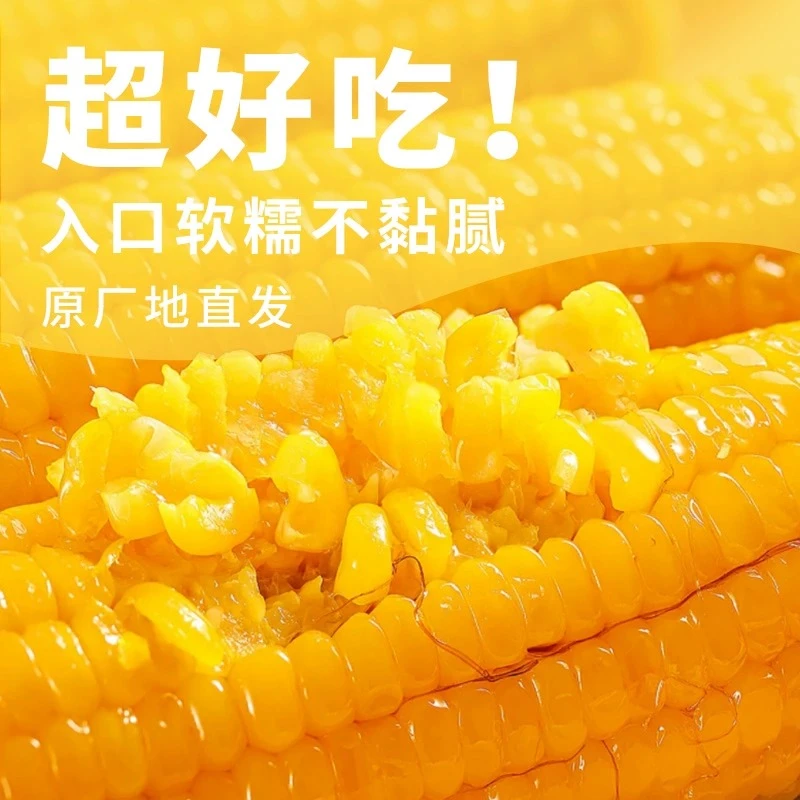 黄糯早餐代餐真空包装220g*8根食用甜糯营养新鲜