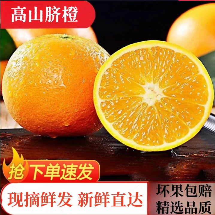【高山纽荷尔脐橙】脐橙正宗薄皮当季鲜水果应季手剥甜橙子带箱五斤