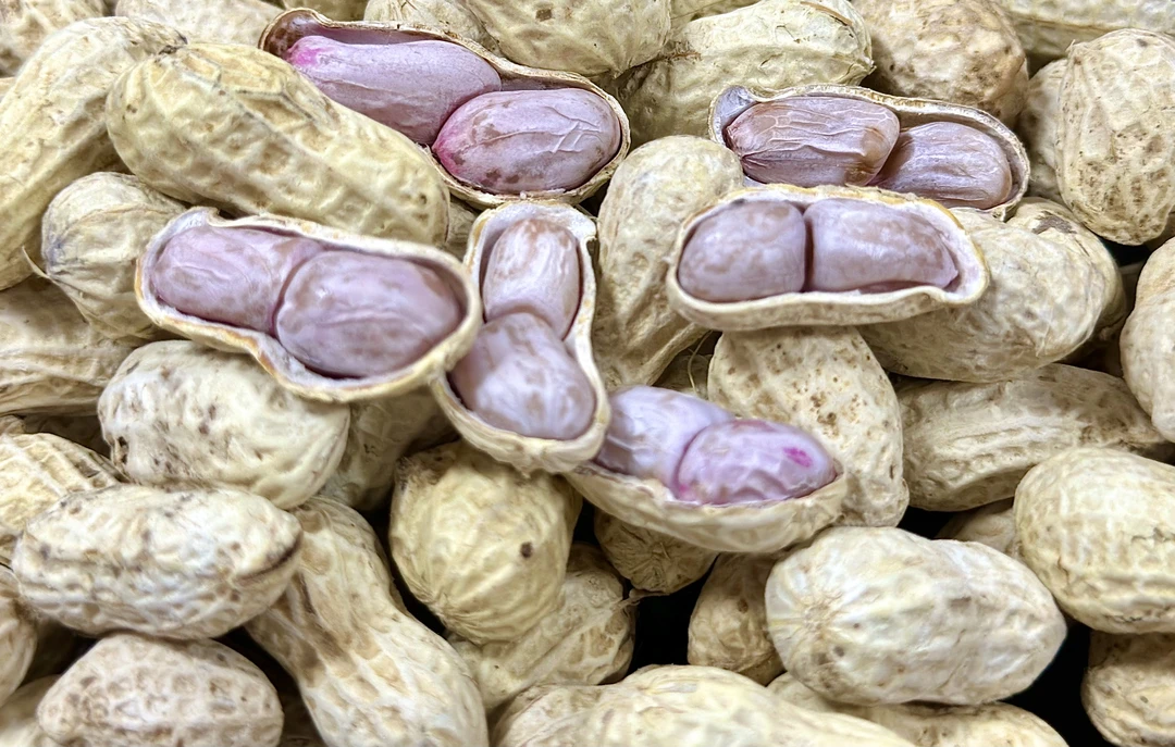【2023年新货】河源忠信特产农家水煮花生日晒干咸干即食熟花生开袋