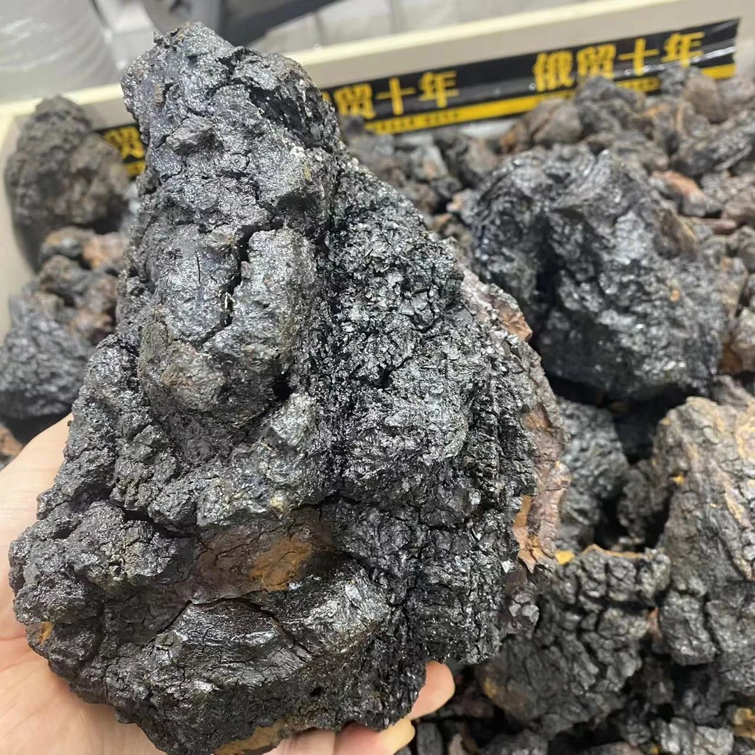 百年树龄 桦树茸半油块 高密度 100g/250g