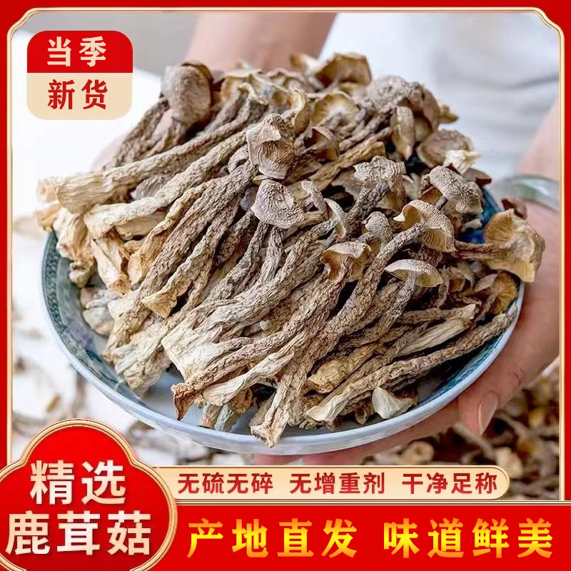 云南鹿茸菇干货鹿茸菌新货农家新鲜脆脆菇食用菌煲汤食材营养鲜嫩
