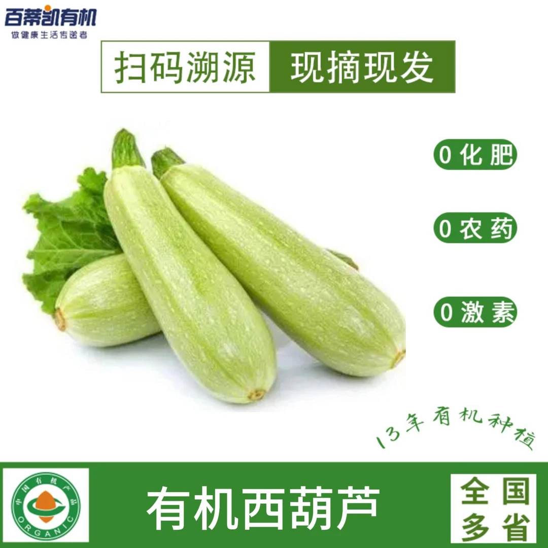 百蒂凯有机西葫芦500g 生态农场种植 健康生长新鲜采摘