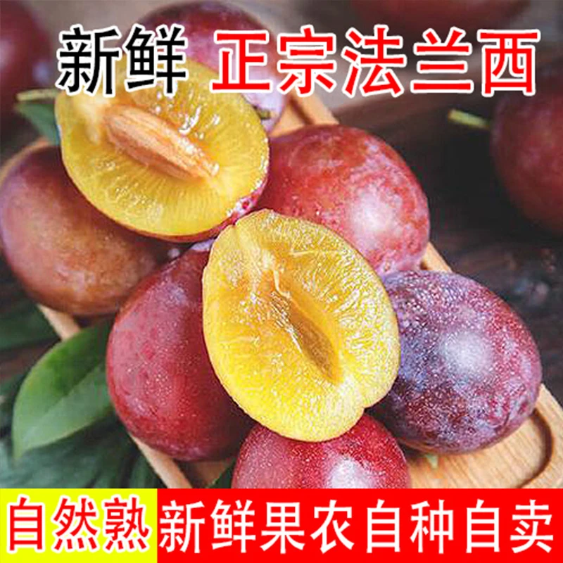 江博尔【新疆直发】新疆喀什法兰西西梅新鲜采摘饱满香甜多汁3斤装