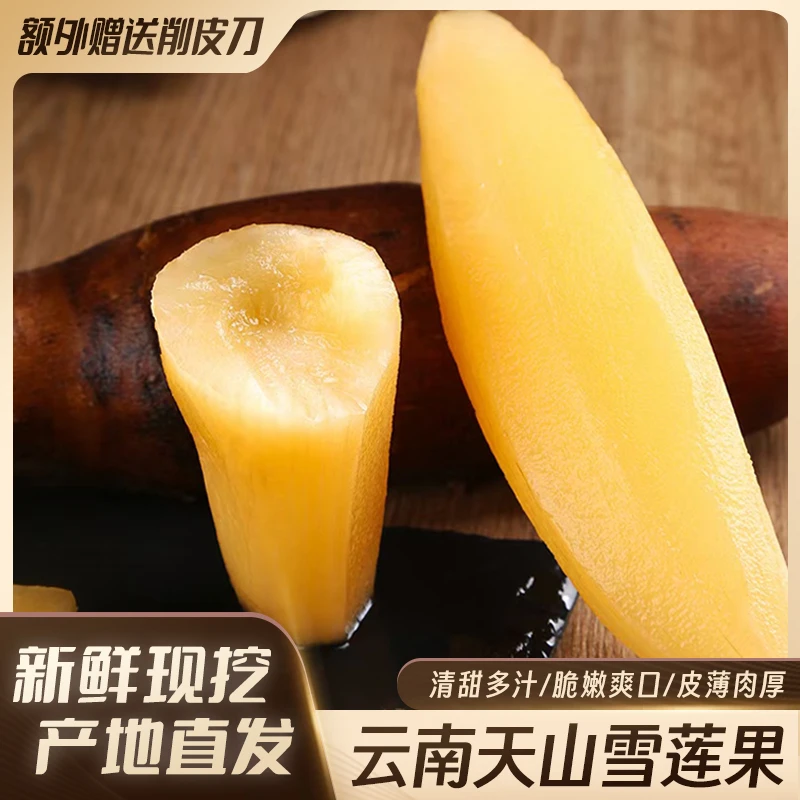 云南天山雪莲果新鲜黄心雪莲果水果新鲜脆爽雪莲果1斤5斤9斤清甜