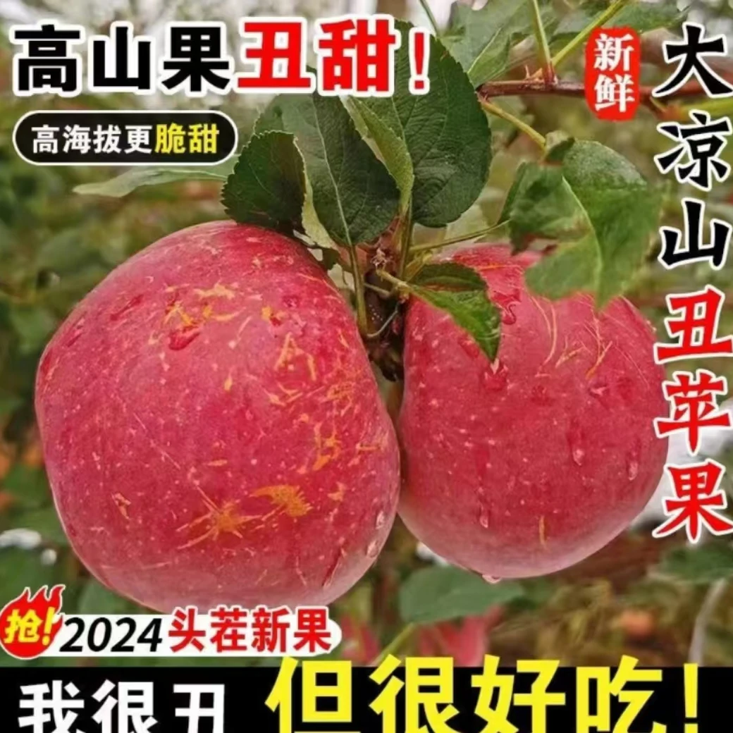 丑苹果大凉山盐源高山丑苹果红苹果脆甜应季新鲜水果整箱LL