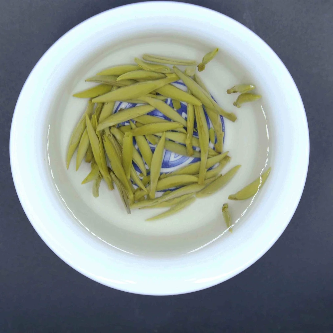 春茶季春茶好料 茉莉雀舌 头采嫩芽 九窨提香  茶中贵妃