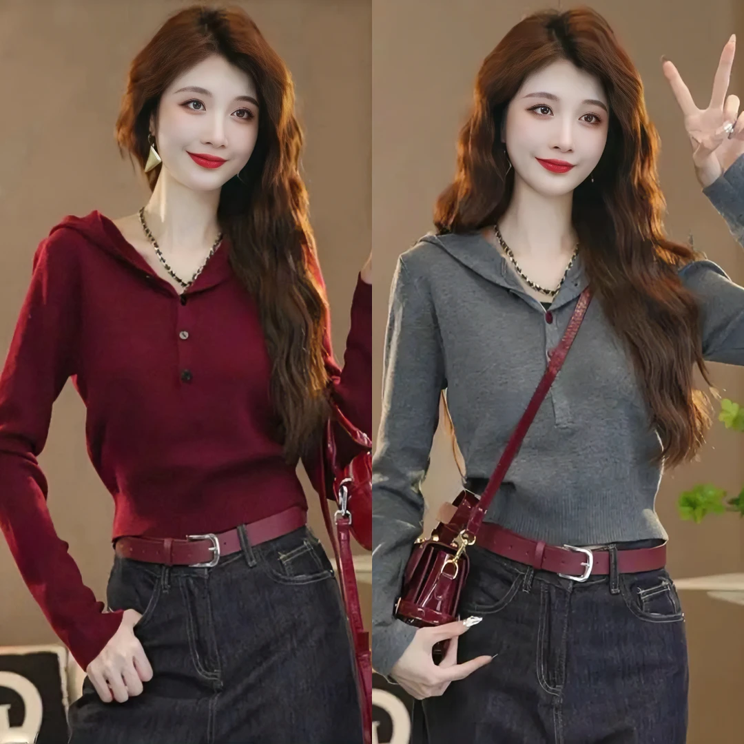 欧货设计感小众简约连帽毛衣女秋季2024新款百搭时尚洋气针织上衣