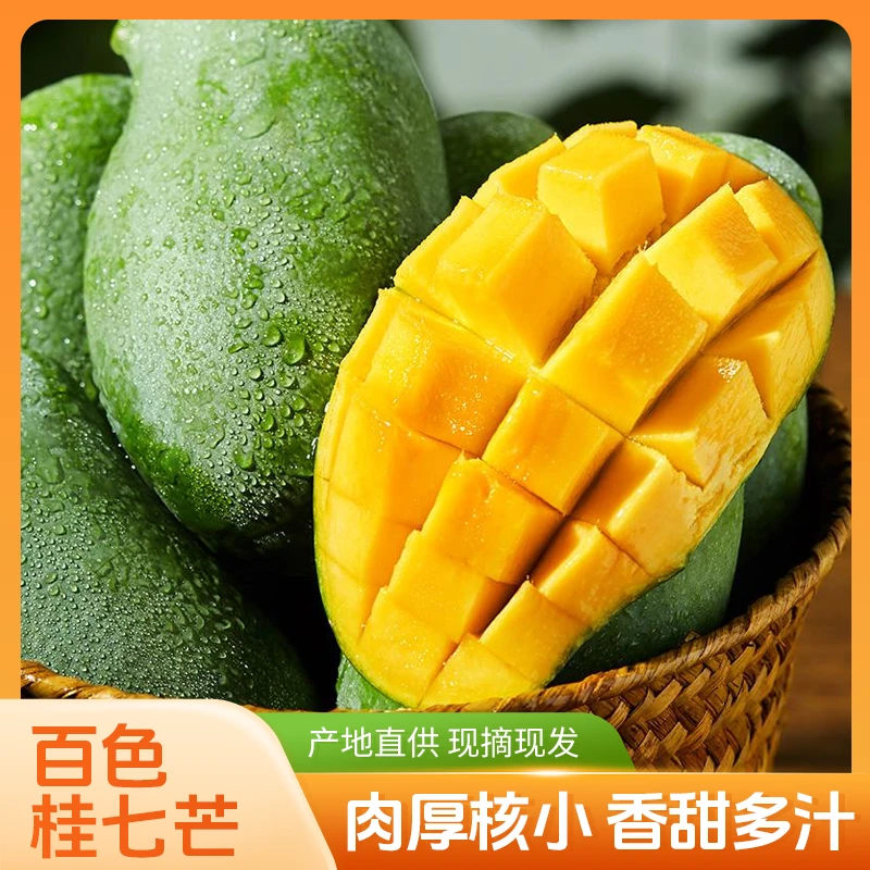 广西百色(桂七芒果)芒果之乡特有名品贡品口味香甜浓郁果园直供