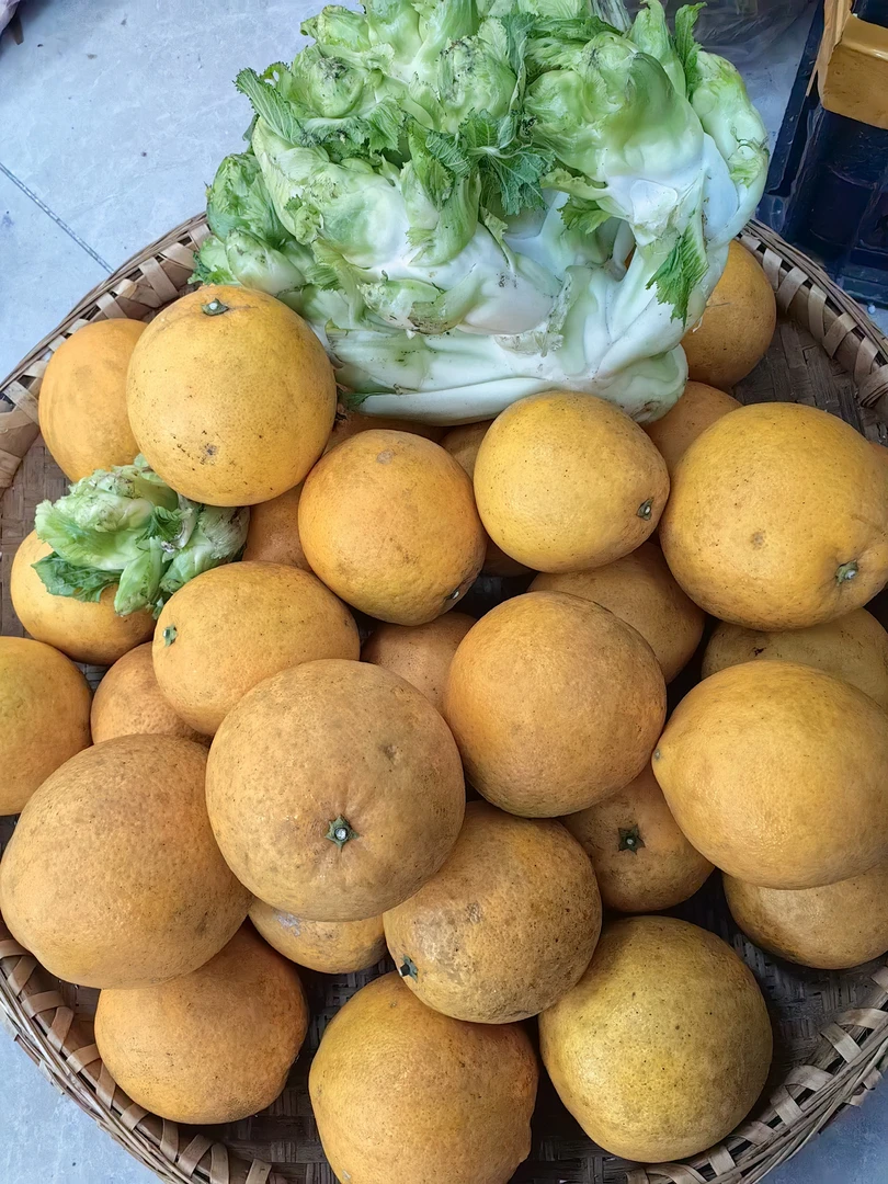 新鲜蔬菜水果类 2500克