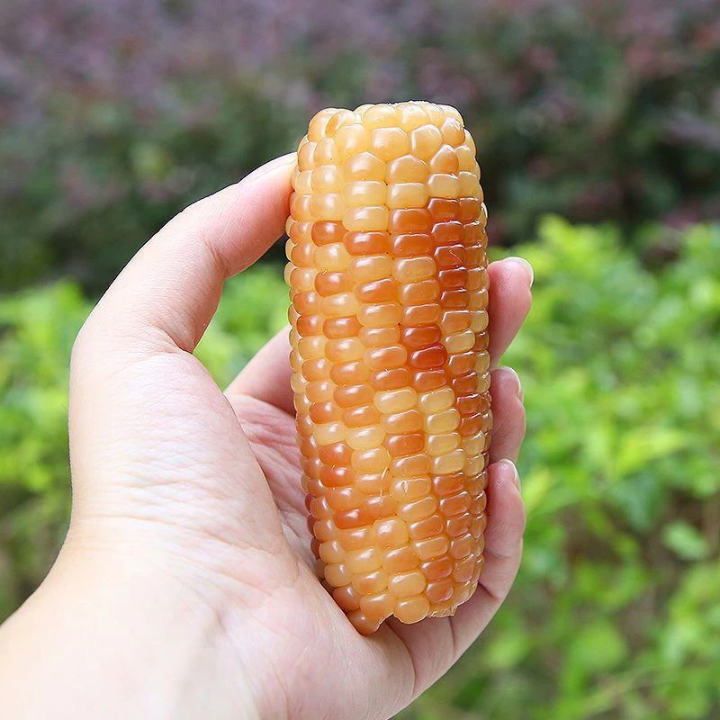 云南西双版纳小花糯玉米新鲜甜糯非转基因黏玉米代餐即食粘玉500g