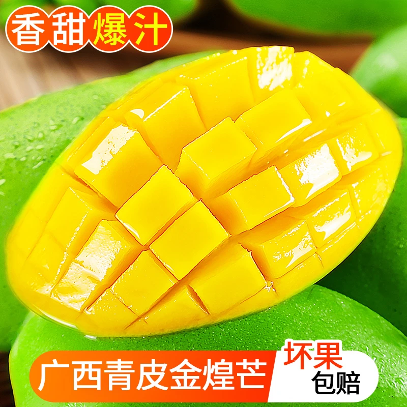 【放软食用】广西青皮金煌芒果5斤9斤 新鲜应季水果香甜多汁核薄