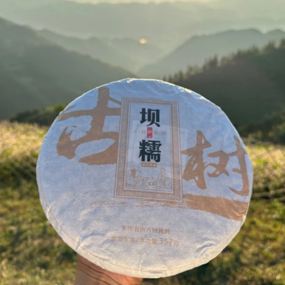 【坝糯古树】2022年坝糯古树普洱茶生茶357克饼生普茶饼