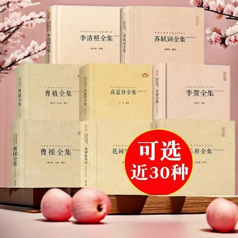 精装正版 中国古典诗词注评丛书 汇校汇注汇评苏轼李清照王维诗词