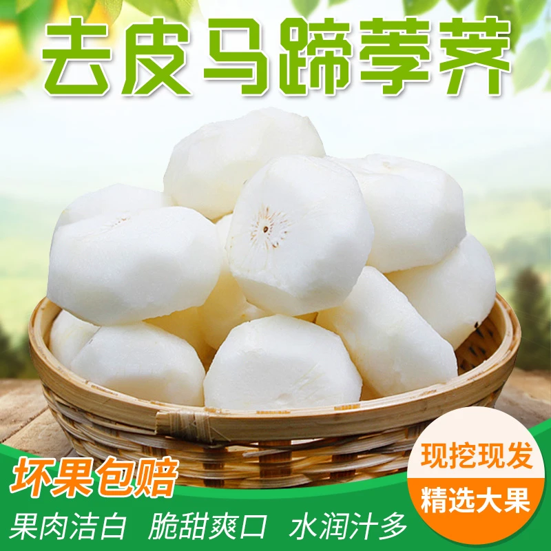 安徽精选新鲜水果清甜马蹄荸荠带泥现挖清脆红皮马蹄果脆甜多汁
