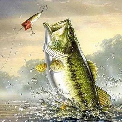 （上州屋）粉丝福利路亚竿所有钓杆随机发货，不指定！不备注！！链接