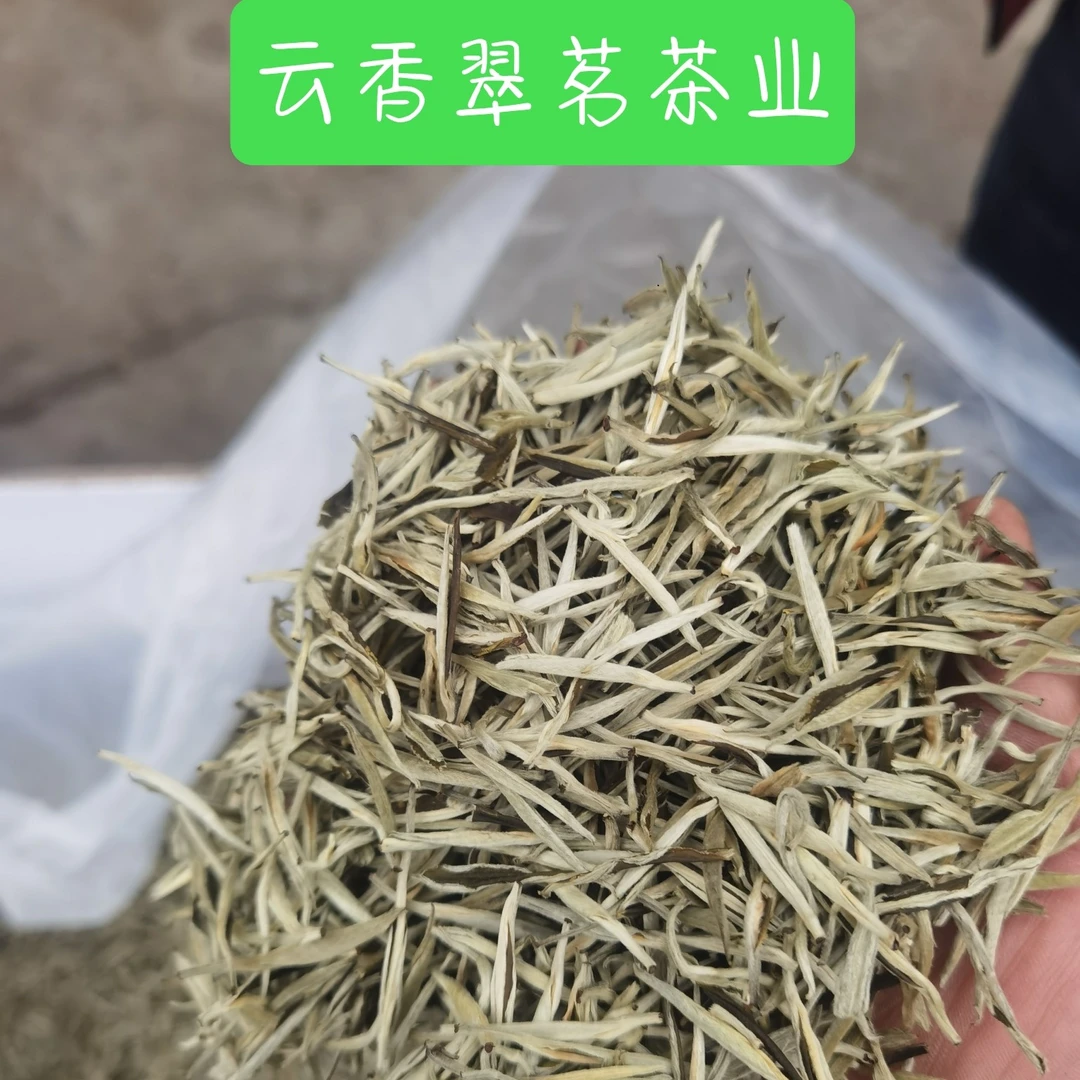 白毫银针2025新茶正宗头采嫩芽浓香型茶叶袋装云南普洱银针