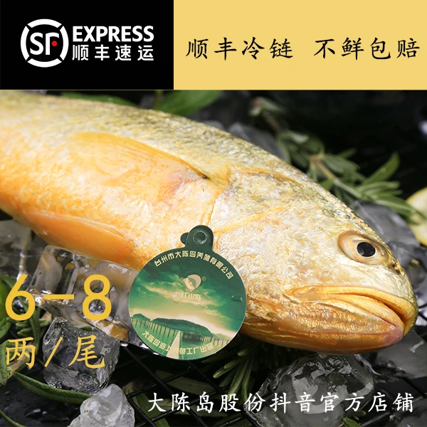 【台州大黄鱼】0.6-0.8斤每条 深海半野生黄鱼黄花鱼冰鲜发货