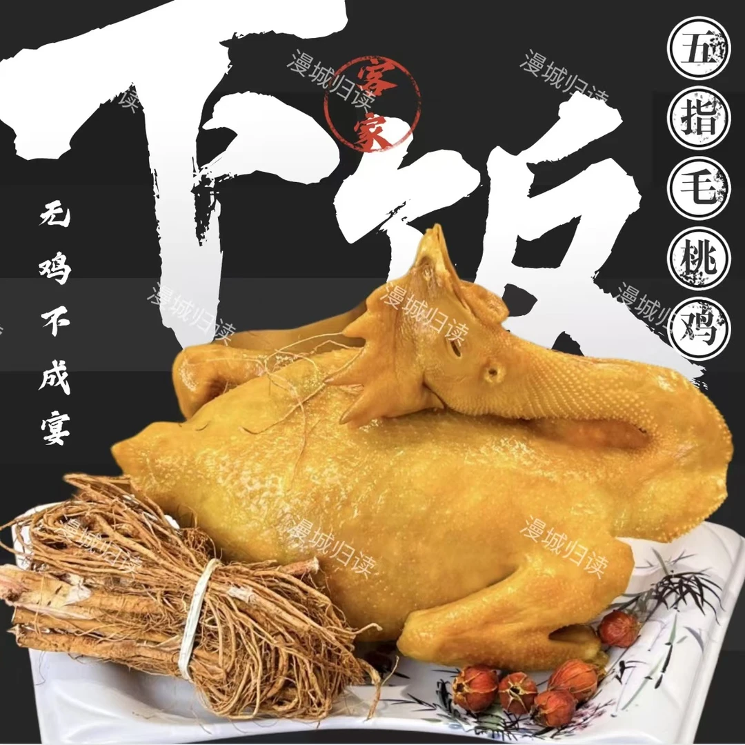 2只装正宗广东梅州客家盐焗鸡 五指毛桃鸡  开袋即食下饭菜