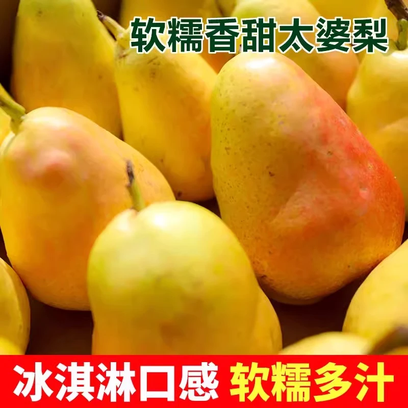 甘肃天水香蕉太婆梨新鲜当季水果整箱绿色优品香甜食用好吃多汁