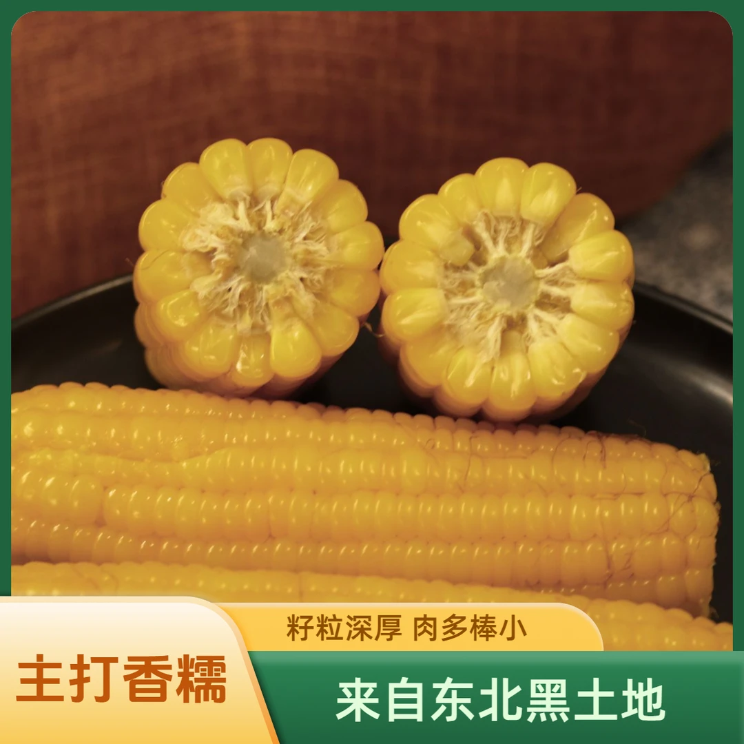 【顺丰】主打香糯有口感  黄糯玉米 黏玉米  软糯香甜