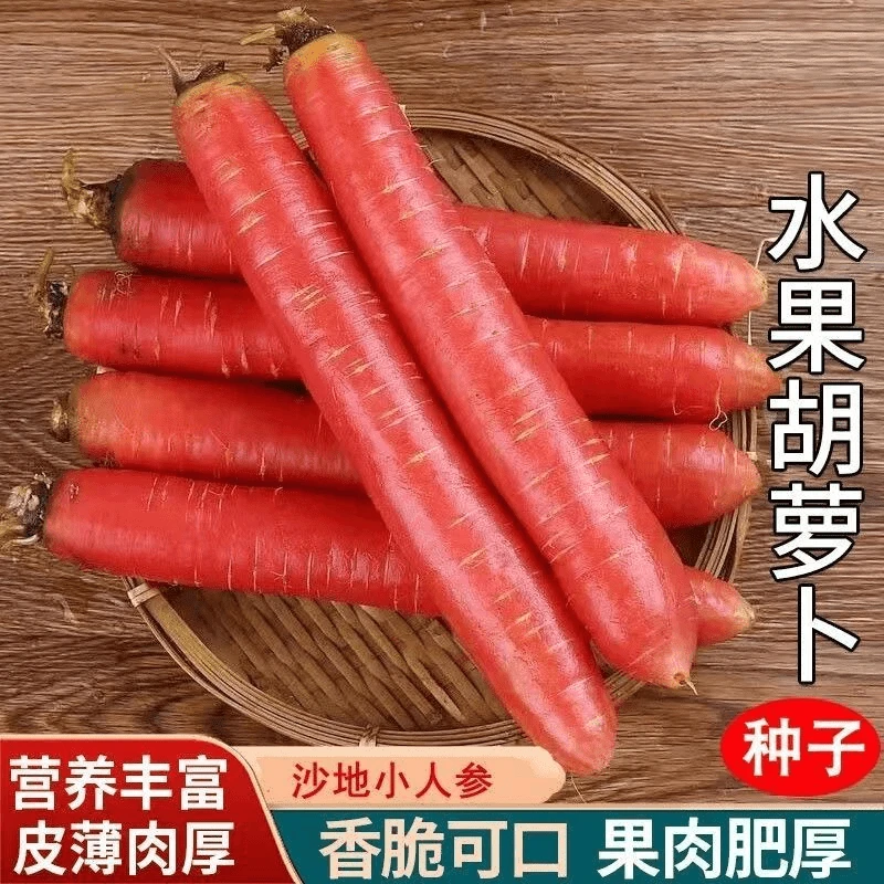 【全店满5包包邮】水果胡萝卜种子四季播种红萝卜种籽甜脆红胡萝