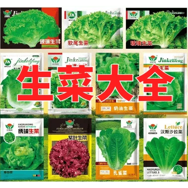【全店满5包包邮】【生菜大全】四季玻璃生菜种子可生吃阳台盆栽