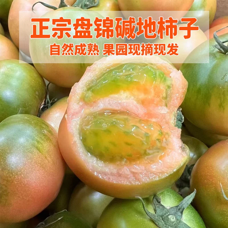 【碱地柿子】盘锦碱地柿子 新鲜水果5斤 产地直发