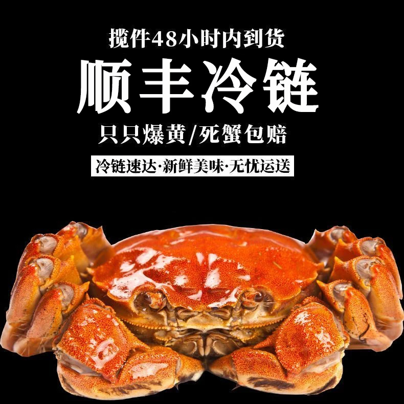 【活蟹】 闸宠蟹 0.8-1.0两 母蟹 15只  盘锦河蟹  顺丰冷链