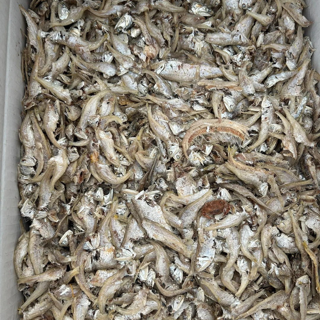 盘锦渤海湾农特产小白鱼干咸鱼干海鲜干货海鱼干