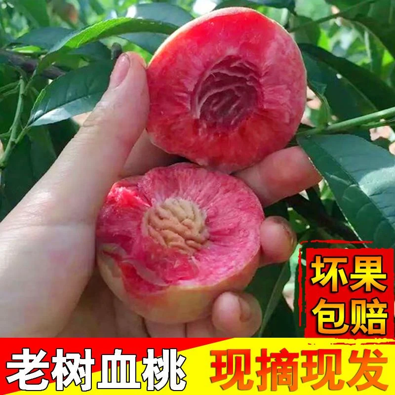 【湖北随州发货】湖北随州老树血桃红心桃水果脆甜多汁净重4.5斤