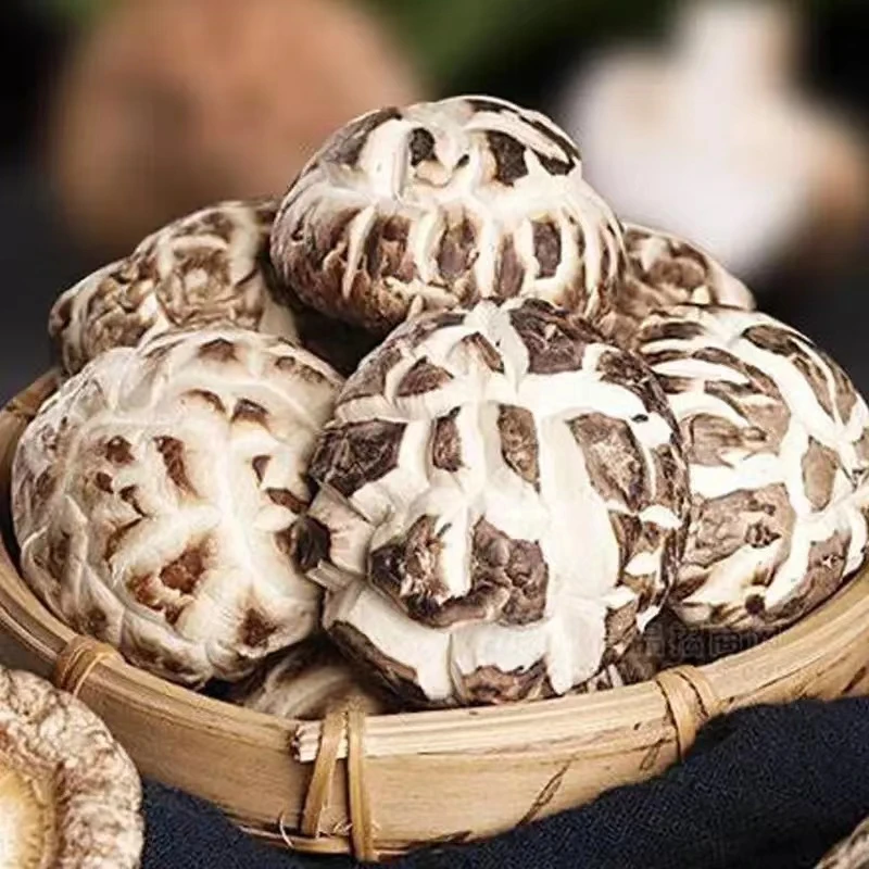 【大富豪专属】干货山珍蘑菇香菇菌菇火锅食材煲汤材料