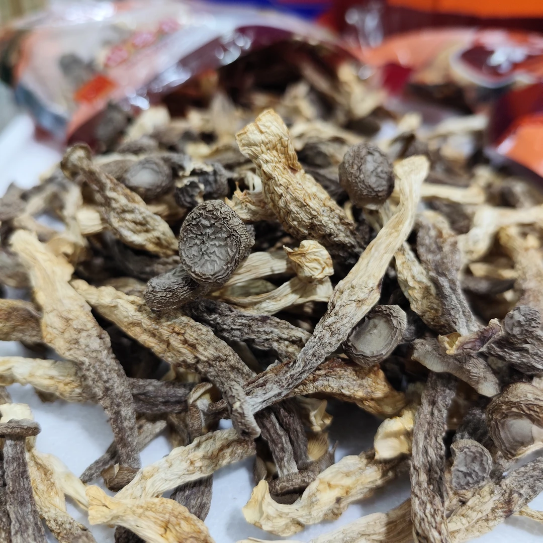 鹿茸菇干货特产无熏硫鹿茸菌菇煲汤食用枸杞