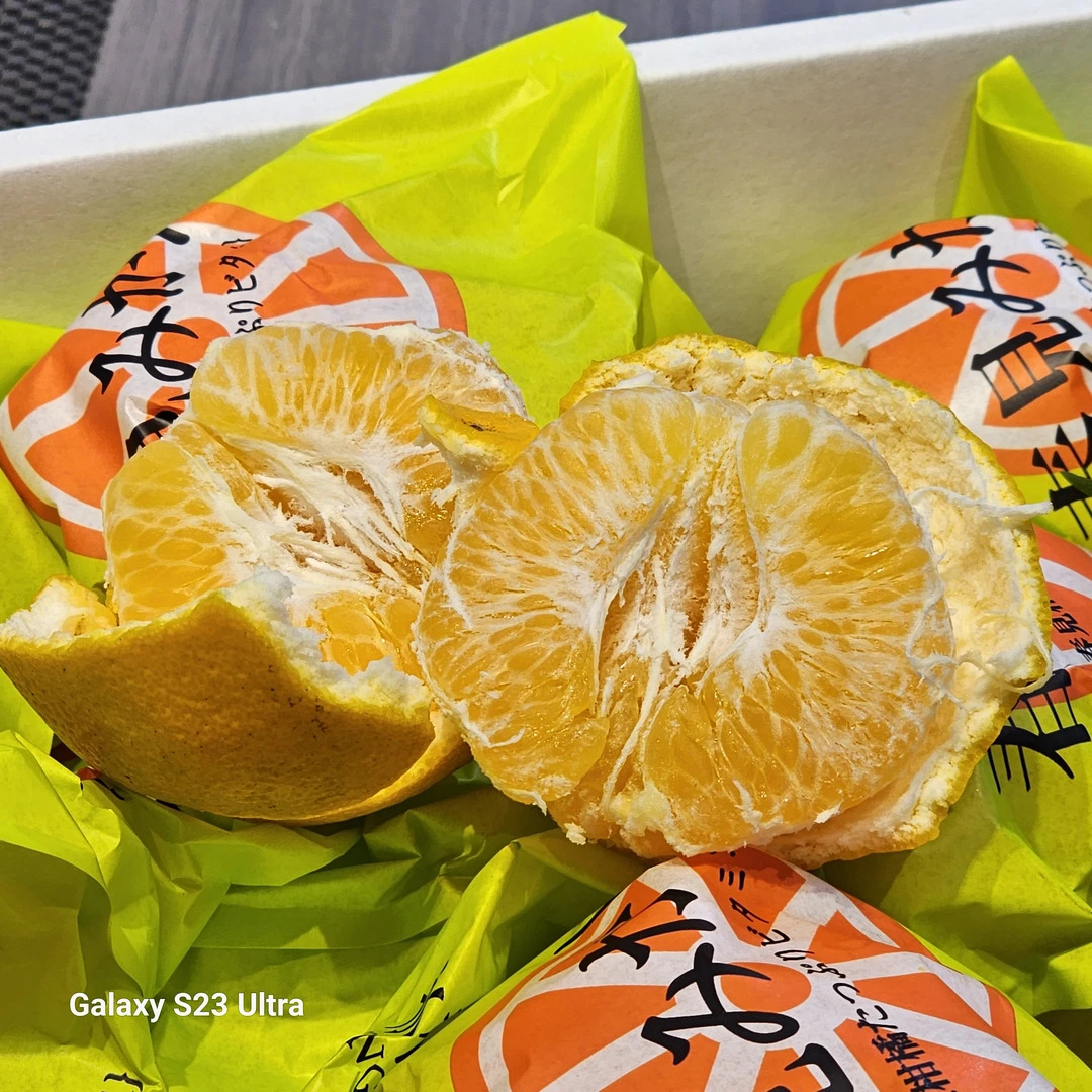 【同城闪送】喜炒甄选春见耙耙柑9斤装