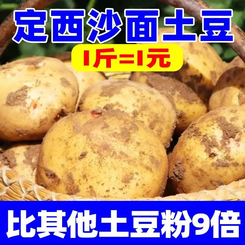 【粉爆了】甘肃定西黄心土豆沙面粉糯大新鲜马铃薯0.99/2.45/4.45kg