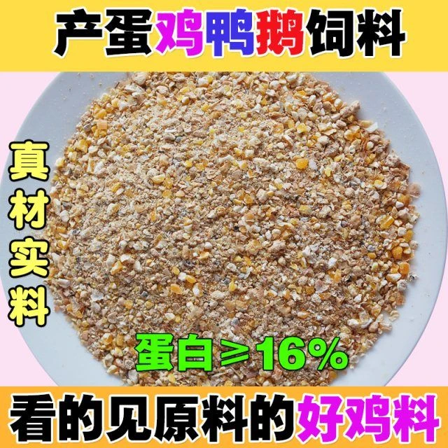 白来航产蛋饲料蛋白质大于百分之六十