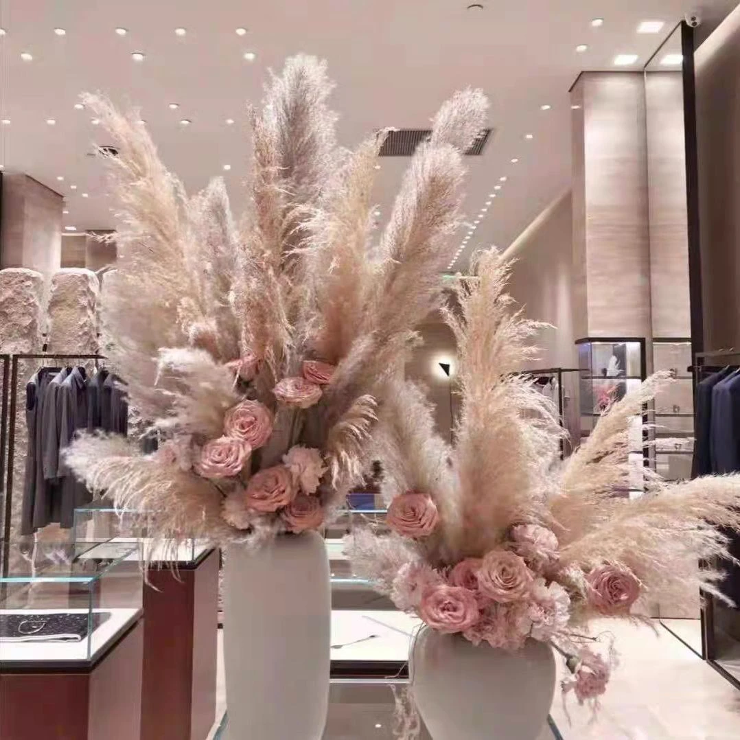 网红天然干花花束客厅插花落地摆件婚庆用品布置大蒲苇橱窗装饰花