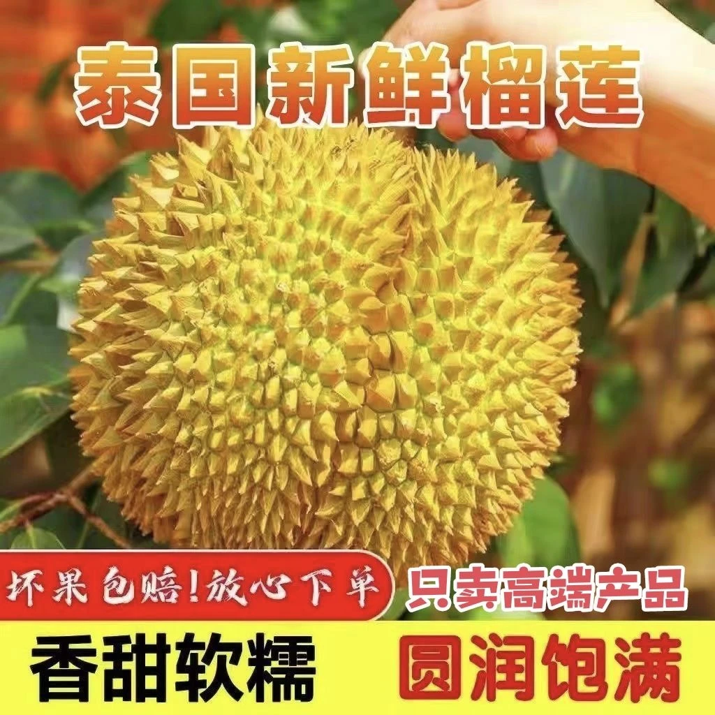 【现货】泰国进口金枕头榴莲软糯香甜液氮冷冻整个带壳整个