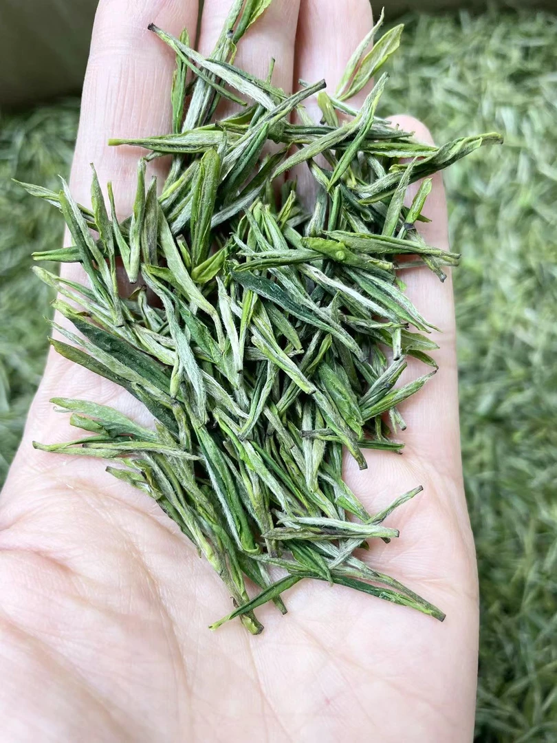 2024年 高山毛峰 竹林荒野茶 黄山兰香 明前 浓香耐泡 250g/500g