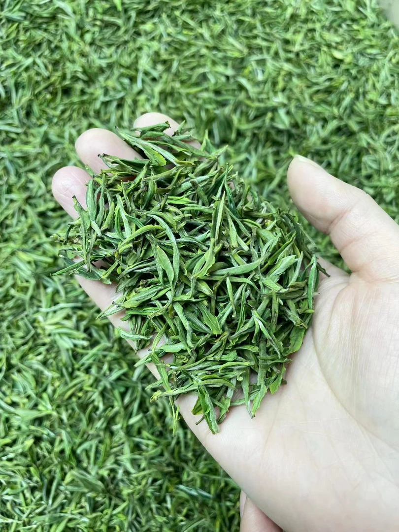 2024年 明前毛峰 黄山栗香 浓香耐泡 250g/500g